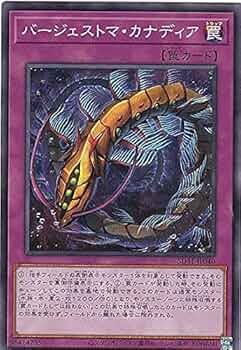 遊戯王 - 遊戯王 バージェストマ デッキ 本格構築 バージェストマデッキ 本格構築 遊戯王No.94の通販 pareruya